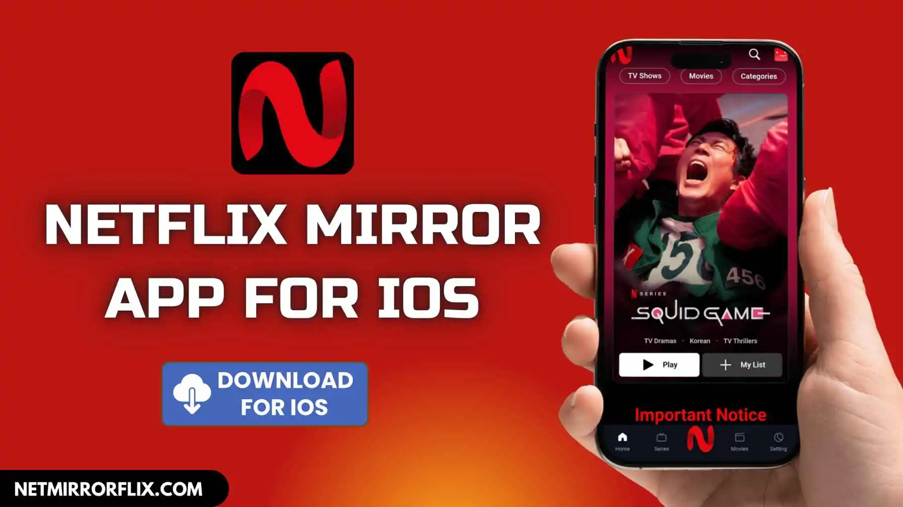 Netflix Mirror App For iOS